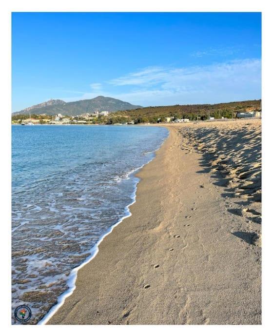 Lumineux Et Cosy F3 Vue Mer Ajaccio  Dış mekan fotoğraf